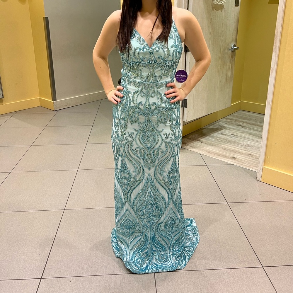 Windsor Prom Dress (Small) NWT